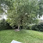 Homestay szállás Offingener & Monteurhaus *